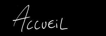 accueil book