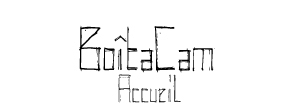 accueil book