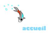 accueil book