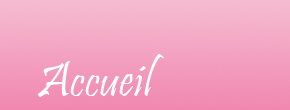 accueil book