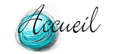 accueil book