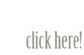 portefolio