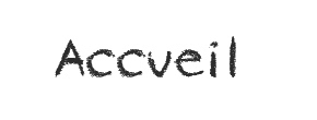 accueil book