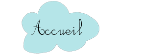 accueil book