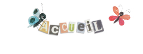 accueil book