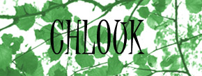 accueil book