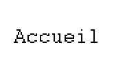 accueil book
