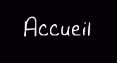 accueil book