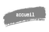 accueil book