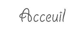 accueil book