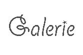 portefolio