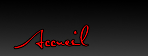 accueil book