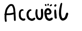 accueil book