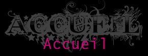 accueil book
