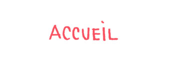 accueil book