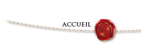 accueil book