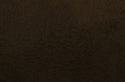 accueil book