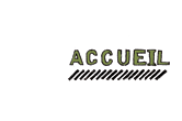accueil book