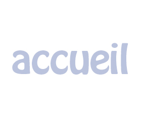 accueil book