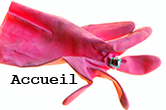 accueil book