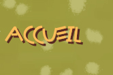 accueil book