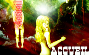 accueil book