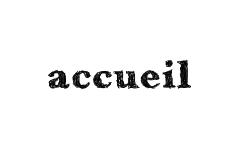 accueil book