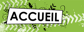 accueil book
