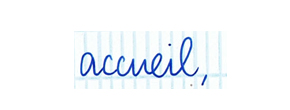 accueil book