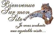 accueil book