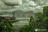 Pont de singes