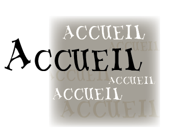 accueil book