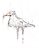 Rook