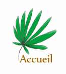 accueil book