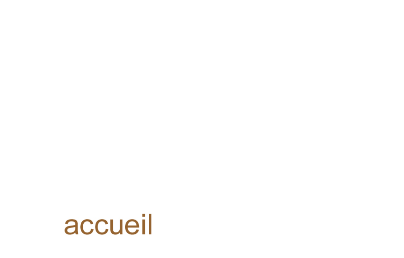 accueil book