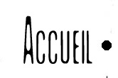 accueil book