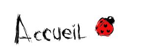 accueil book
