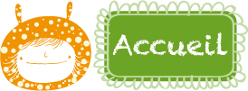 accueil book