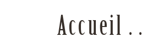 accueil book