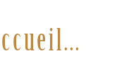 accueil book