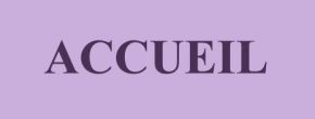 accueil book