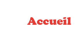 accueil book