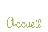 accueil book
