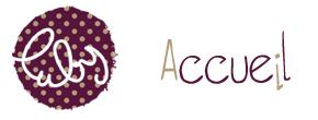 accueil book