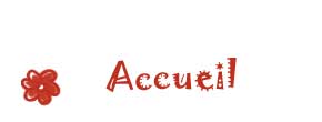 accueil book