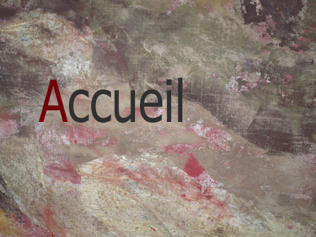 accueil book