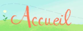 accueil book