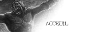 accueil book