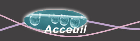 accueil book