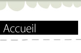accueil book